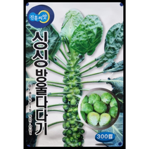 싱싱방울다다기씨앗300립 양배추씨앗 진흥종묘