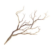 인공 나무 가지 생명체 같은 식물 식물 막대기 웨딩 홈 오피스 장식 실내 야외 정원 야드 장식, 커피
