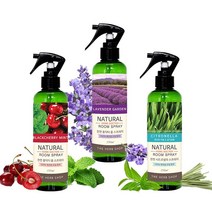 홈닥터 차량용탈취제 악취제거제 룸스프레이250ml 5종 _20229911EA, 쿠팡 블랙체리민트