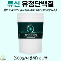 류신 단백질 분말 프로틴 파우더 보충제 BCAA 근육 필수아미노산 영양제 WPH 유청단백질 대용량, 1팩, 560g