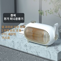 LIVBTS PTC세라믹 전기 미니온풍기 1000W, 흰색