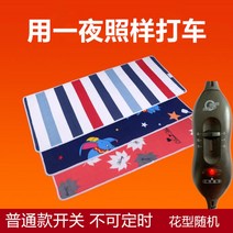 12V 전기장판 DC 캠핑 전기매트 차박 캠핑 카라반 2인용 시가잭, A + 150x50cm