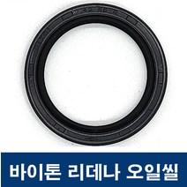 에스케이종합상사 바이톤 리데나 22-47-10 (22X47X10) 오일씰 TC