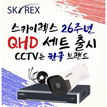 스카이렉스 QHD 초고화질 하이브리드 매장&가정용CCTV 케이블10M 풀세트 실내외겸용, 보급형 실내4개(전용 케이블 10M+아답터)