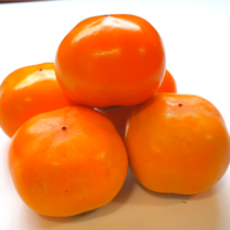 초달달촉촉 청도 반시 씨없는 홍시 가성비 좋은 가정용 판매중, 1박스, 5kg(청도반시/35과 내)