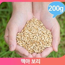 몸보신 영양 보리차 200g 맥아 건강 직장인 식수대용