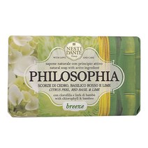 네스티단테 필로소피아 브리즈