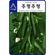 오이씨앗종자 주렁주렁 오이(10립), 1개