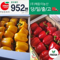 <해돋이농산> 국내산 못난이 파프리카 혼합 빨강 노랑 1kg 2kg 5kg 상세페이지참조, 혼합2kg, 1개” class=”wr-img”></a></div></div></div></div><div class=