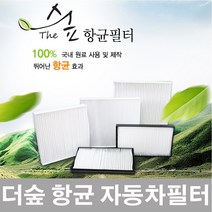 더숲 항균 파티클 자동차필터 에어컨필터/히터필터 자동차용 기아 레이, 현대, S27_5톤트럭/EG트럭/메가트럭(03년이후)