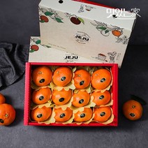 맛있는 자연맛남 제주직송 레드향 선물세트, 05. 레드향선물세트4.5kg(25과내외)