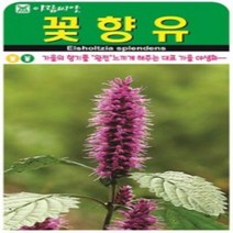 AR 꽃향유 소포장 가을의 향기를 야생화 씨앗