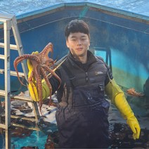 통수산 제철 자연산 돌문어1kg~, 돌문어2kg(1~7미), 1개