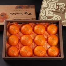 농부들의수확 [농부들의수확] 과일선물세트 레드향 중대과 5kg 8-16과(부직포가방 포장), 단품없음