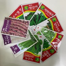 루아데코 채소재배 씨앗 모음 열무 시금치 완두콩 옥수수 베란다 텃밭만들기, 치마아욱