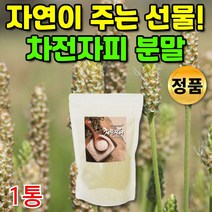 안심하고 먹는 인도산 차전자피 자전차피 식이섬유 차전피 차전자 질경이 씨 장 대장 분말 가루 20대 30대 40대 50대 60대 부모님 직장인 추천, 1통