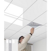 욕실천정재 천장재 아파트 목욕탕 자재 천정 텍스 필로티 리모델링 천장 판 화장실 교체, A-30cmx60cm 1.8제곱미터  10개