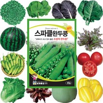 콩씨앗 땅콩씨 메주콩씨앗 강낭콩종자 호랑이콩씨앗 작두콩종자 서리태, 402 얼룩찰옥수수 150립