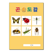 [삼영북스] 곤충도감, 50권 이상 인쇄있음