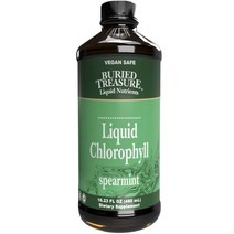 베리드트레져 리퀴드 클로로필 스피어민트, 480ml, 1개