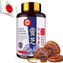 일본 영지 버섯 복합체 보충제 1500mg - 차가 동충하초 사자 갈기 잎새 아가리쿠스 추출물 및 허브 3개 뇌 에너지용 캡슐 1팩, 60개(1팩)