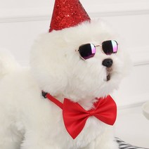 강아지 나비 넥타이 고양이 보타이 리본, 반려동물파티보타이(스카이)