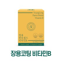 영롱 판토쉴드 비타민B, 30정, 15g, 1개