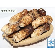 자연산 냉동송이 송이버섯 백두산송이버섯 1kg 명절선물, 1개, 파손품/가정용1kg
