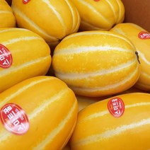 다팔리면 종료 실속형 성주 참외 10kg내외 (랜덤과/포장재포함), 1개