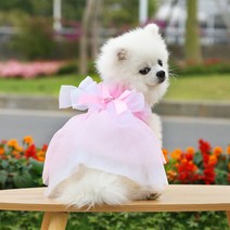 양복 신랑 결혼식 사례 옷 애완동물 강아지 고양이 테디비 곰보미 법두 소형견 용품, 바비 핑크 웨딩드레스 리본