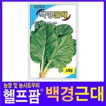 헬프팜 백경근대 200g 씨앗 종자 그린하트바이오