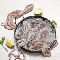 보성농수산 벌교 갯뻘 산낙지 대 중 소 싱싱한 더 맛있는 낙지 살아서 도착, 냉동낙지 대 5마리, 1개