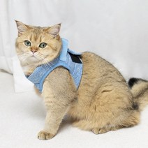 고양이산책줄 가슴줄 하네스 목줄 고양이전용 쿠션 산책줄 에어핏 산책냥이 산책냥, 블루