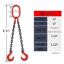 더블후크 크레인 후크 체인 리프팅 갈고리 슬링, 2 톤 2레그 1 m