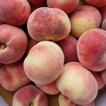 반납작 복숭아 대극천 2kg 중소과 24과내외, 2kg (중소과), 1개