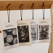 아로니카 무드센트 샤쉐 옷장방향제 4P세트, 릴리오브더밸리4P