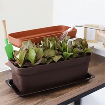 우리집 베란다 정원 토마토 키우기용 큰 화분 셀프인테리어 부엌 원룸, 다크브라운