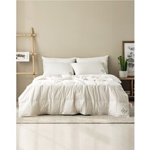 [소프라움] 사르르 헝가리90 80수 구스다운 간절기 이불솜 퀸, 화이트