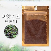 씨앗 수초 (미니 바코바) 8g 씨앗수초