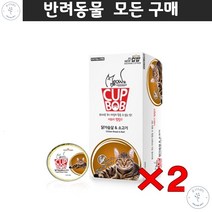 싱가퓨라 노르웨이숲 페르시안 전연령 소화잘되는 아기고양이 푸딩 6px2 메인쿤 터키시앙고라 샴