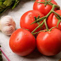 토마토보관법 방울 효능 달짝이 단 주스 찰 설탕 대추 배달 토마토5KG, 토마토 5kg