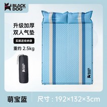 자체충전 자충식 캠핑 차박 발포 에어 손님 용 매트 리스 토퍼 a14, C