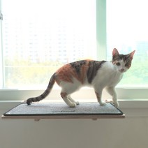 고양이 해먹 캣타워 창문 창틀 선반 캣스텝 캣워커 냥만뷰, 베이지