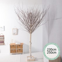 실내인테리어 인조나무 123종 / 플트 조화나무 C, C21.소원자작나무 250cmK/사방형