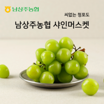 [산지직송] 고당도 샤인머스켓 경북 상주 생산, 1박스, 2kg