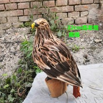 에어컨실외기비둘기퇴치 비둘기가싫어하는것 모형 보라매 독수리 까치 까마귀, 32cm 하이 옐로 부리 독수리 (거품에 깃털)개