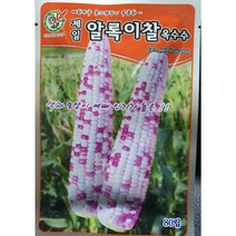 찰옥수수씨앗/ 박사찰옥수수150립/알록이찰옥수수 80립/흑찰옥수수 50립/박사찰옥수수 80립, 흑찰옥수수70립