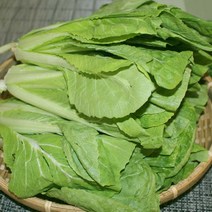얼갈이배추4kg 1박스 자연대로팜웨이, 얼갈이4kg 1박스