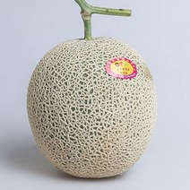 머스크 세지 파파야 칸탈로프 메론 3kg 6kg, 31_머스크 메론 중과 3kg 2-3과