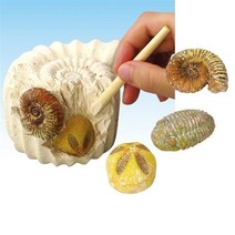 ARTEC 화석발굴키트/D.R